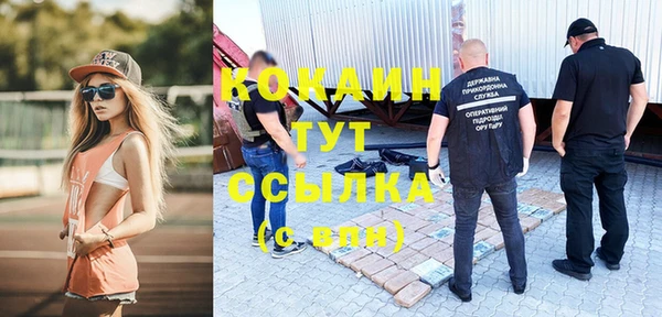 мет Новозыбков