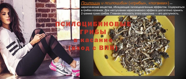 apvp Вязники