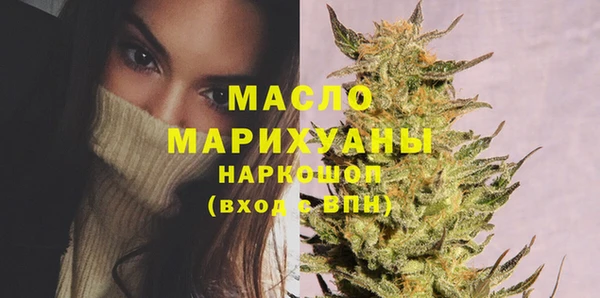 мет Новозыбков