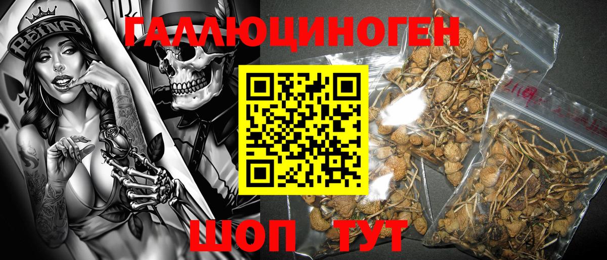 Галлюциногенные грибы GOLDEN TEACHER Ступино