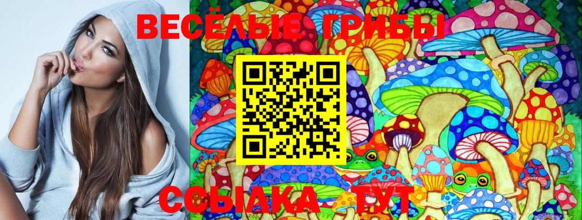 Галлюциногенные грибы Cubensis Ступино