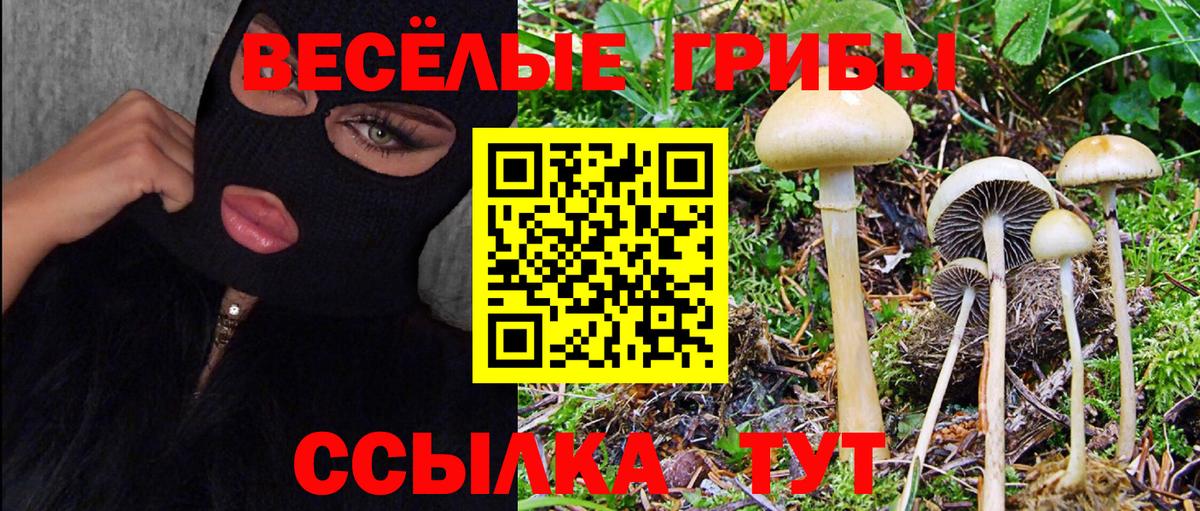 Галлюциногенные грибы Magic Shrooms  где купить наркотик  Ступино  Вход с VPN  Галлюциногенные грибы Magic Shrooms 