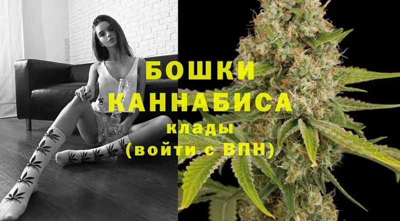 наркота  Ступино  Конопля White Widow 